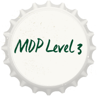 MDP Level 3