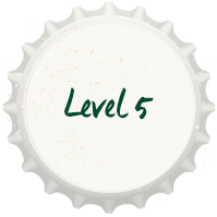 Level 5