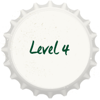 Level 4